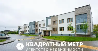 2 room apartment in Minsk, Belarus