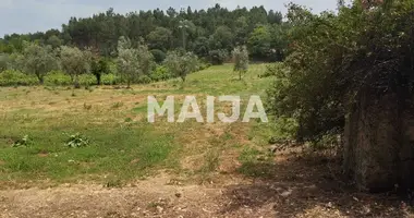 Plot of land in Ferreira do Zezere, Portugal
