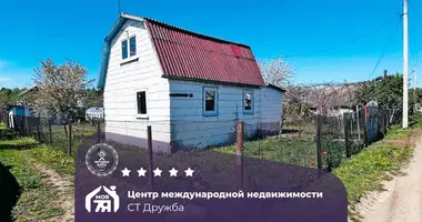 House in Starobinski sielski Saviet, Belarus