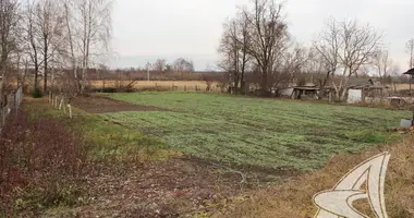 Plot of land in Cerninski sielski Saviet, Belarus