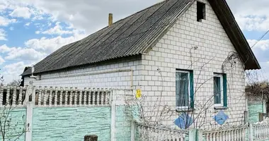 House in Ciarenicki sielski Saviet, Belarus
