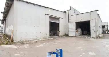Magazyn 1 246 m² w Stare Sioło, Białoruś