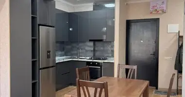 2 bedroom rent in Nutsubidze Slope in Tbilisi, Georgia