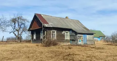 House in Stankauski sielski Saviet, Belarus