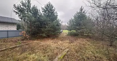 Plot of land in Muchaviecki sielski Saviet, Belarus