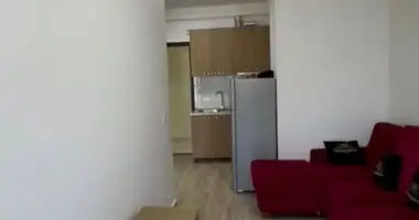 Mieszkanie 1 pokój w Lezhe Municipality, Albania