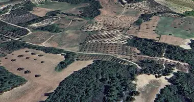 Terrain dans Kassandra Municipality, Grèce