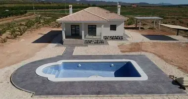 Villa 3 bedrooms in el Pinos Pinoso, Spain