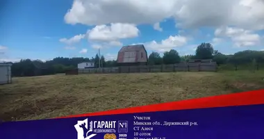 Plot of land in Dziamidavicki sielski Saviet, Belarus