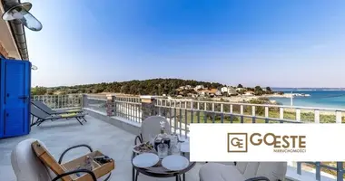 Maison 5 chambres dans Opcina Dezanovac, Croatie