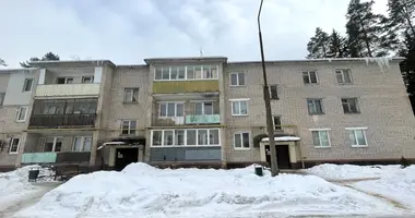 1 bedroom apartment in Astrashitskagaradokski rural council, Belarus