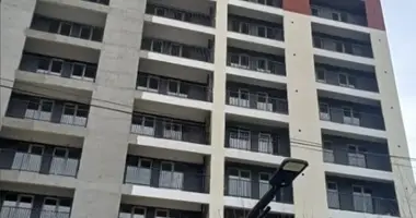 1 bedroom apartment in Tbilisi, Georgia