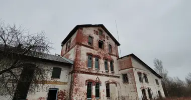 Produktion 2 513 m² in Zavalocycy, Belarus