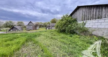 Grundstück in Vidamlianski sielski Saviet, Belarus