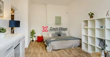 Wohnung 1 zimmer in Hauptstadt Prag, Tschechien