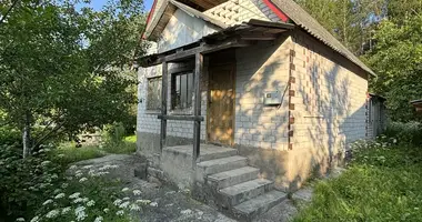 House in Zalieski sielski Saviet, Belarus