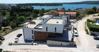 Villa 4 bedrooms in Opcina Medulin, Croatia