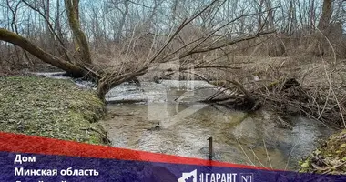 Dom w Januskavicki sielski Saviet, Białoruś