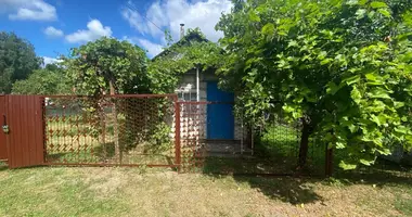 Casa en Zodzinski sielski Saviet, Belarús
