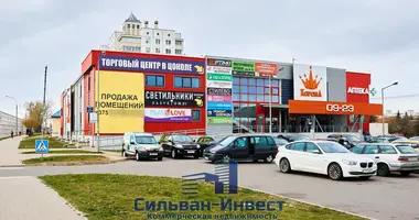 Склад 1 308 м² в Ждановичи, Беларусь