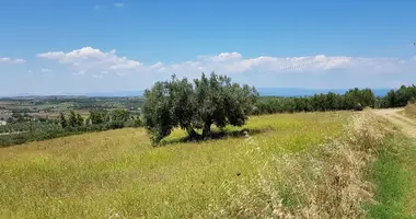 Plot of land in Kriopigi, Greece