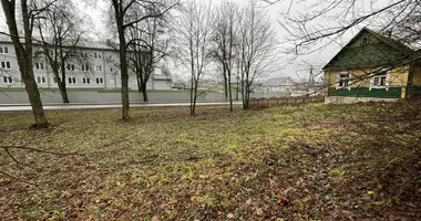 Haus in Astrashycki Haradok, Belarus