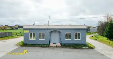Gewerbefläche 96 m² in Navasielle, Belarus