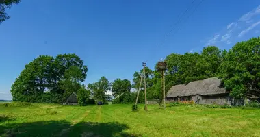 Дом в Didsode, Литва
