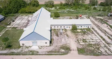 Коммерческое помещение 1 000 м² в Algirdai, Литва