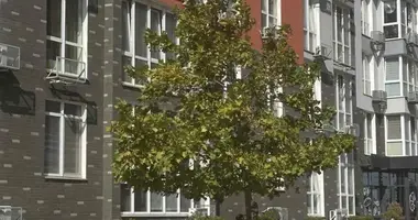 Apartamento 1 habitación en Avanhard, Ucrania