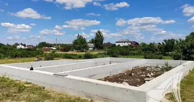 Plot of land in Znamienski sielski Saviet, Belarus