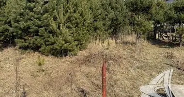 Parcela en Zhabinka, Belarús