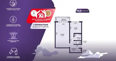 1 room apartment in Minsk, Belarus