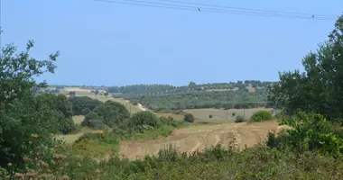 Terrain dans Kassandreia, Grèce