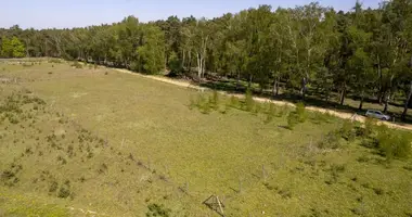 Plot of land in Nieczajna, Poland