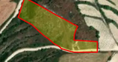 Apartment in Kathikas, Cyprus