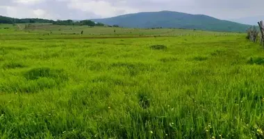 Działka w Mtskheta, Gruzja