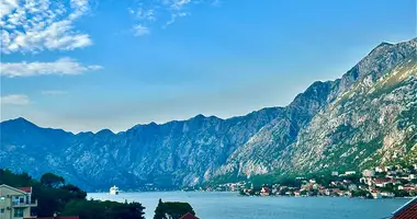 Apartamento 1 habitacion en Kotor, Montenegro