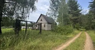 Haus in Krapivienski sielski Saviet, Belarus