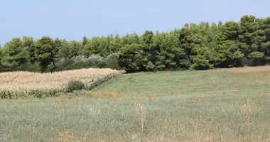 Участок земли в Municipality of Nea Propontida, Греция