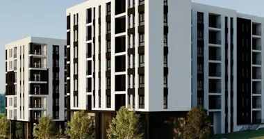 2 bedroom apartment in Paskuqan, Albania