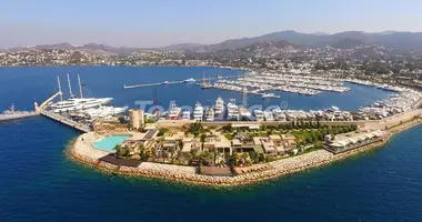 Villa 4 chambres dans Bodrum, Turquie