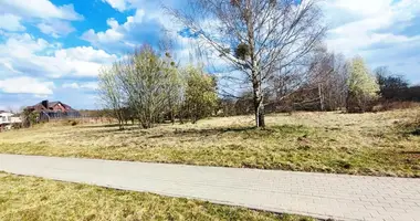 Участок земли в Друскининкай, Литва