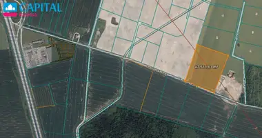 Działka w Sitkuny, Litwa