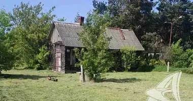 Haus in Tamasouka, Belarus