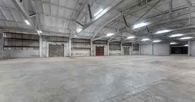 Commercial property 10 407 m² in Pagegiai, Lithuania