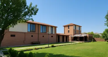 Unique family wine house with cellar, hotel rooms, vineyard and own wine brand.  dans , Géorgie
