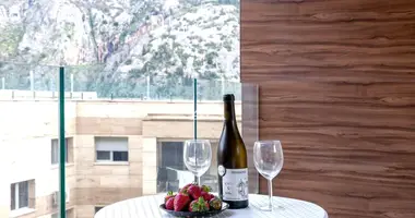1 bedroom apartment in Kotor, Montenegro