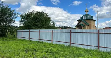 House in Homyel, Belarus