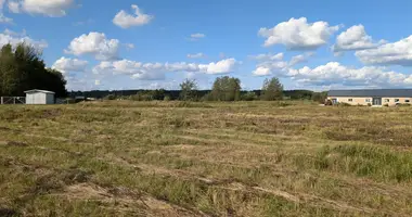 Terrain dans Stanaiciai, Lituanie